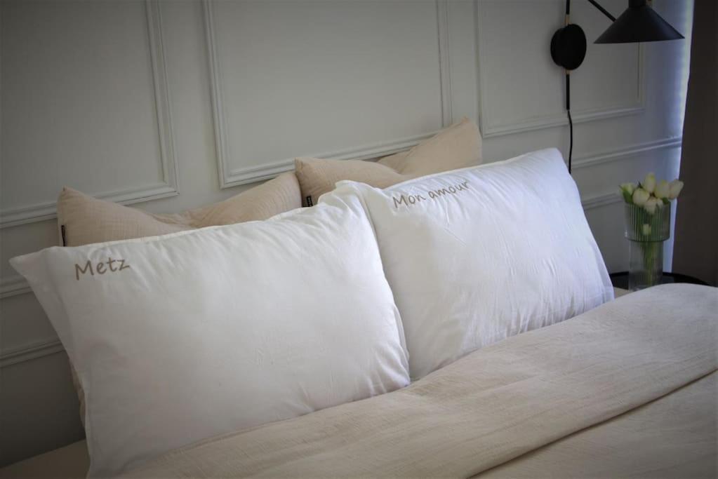 Hotel Metz Mon Amour, Un Sejour A 200M De La Cathedrale ! Classe 3 Etoiles ! ภายนอก รูปภาพ